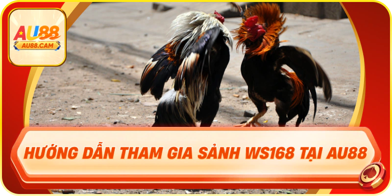 Hướng dẫn tham gia sảnh ws168 tại au88